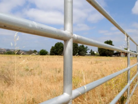 Galvanized pipe ranch fence
