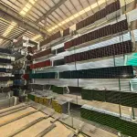 Factory for Galvanized Rectangular Greenhouse Pipes